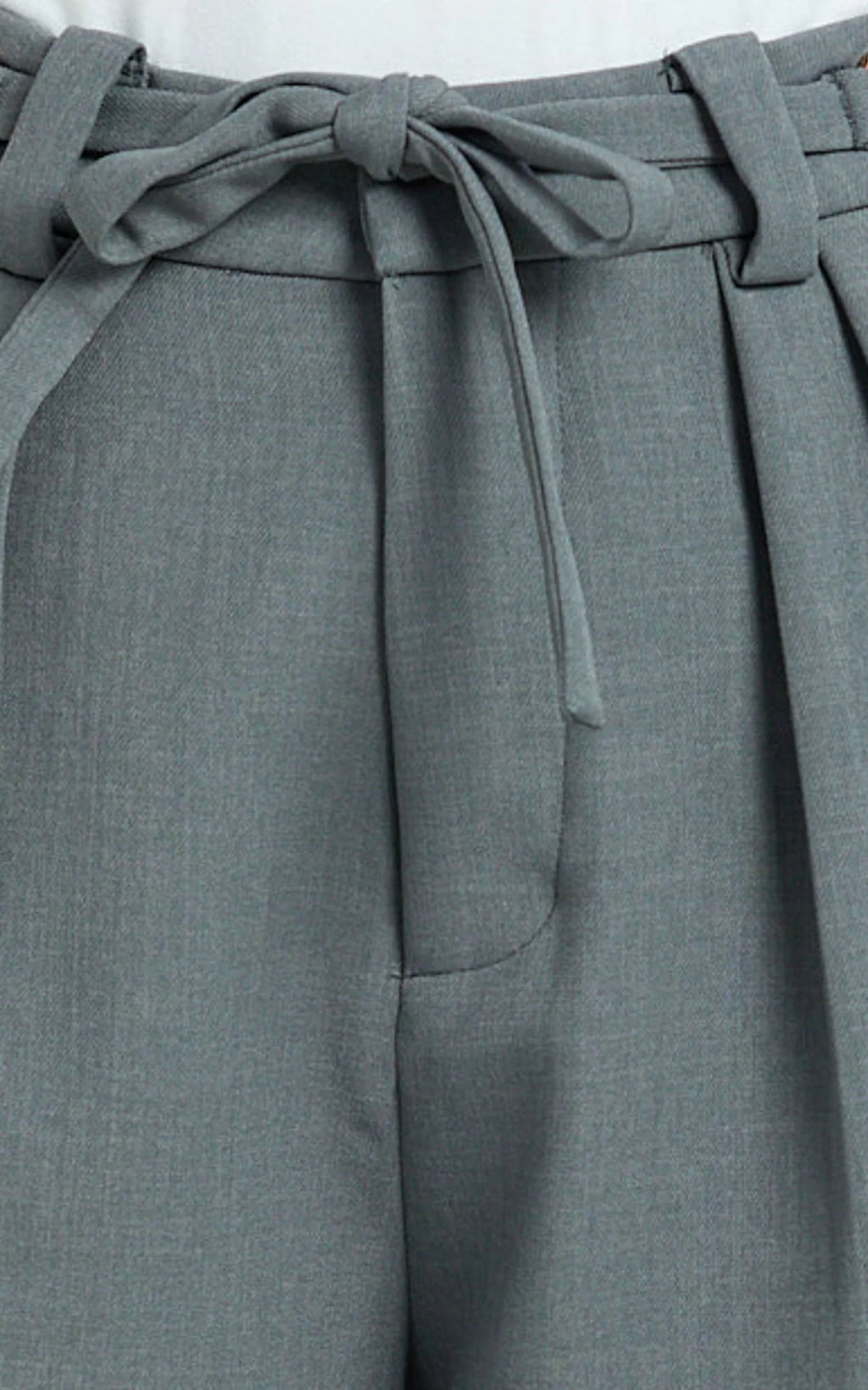 Frankie Pants - Low Rise Pleated Wide Leg Pant with Hardware Buckle in Grey