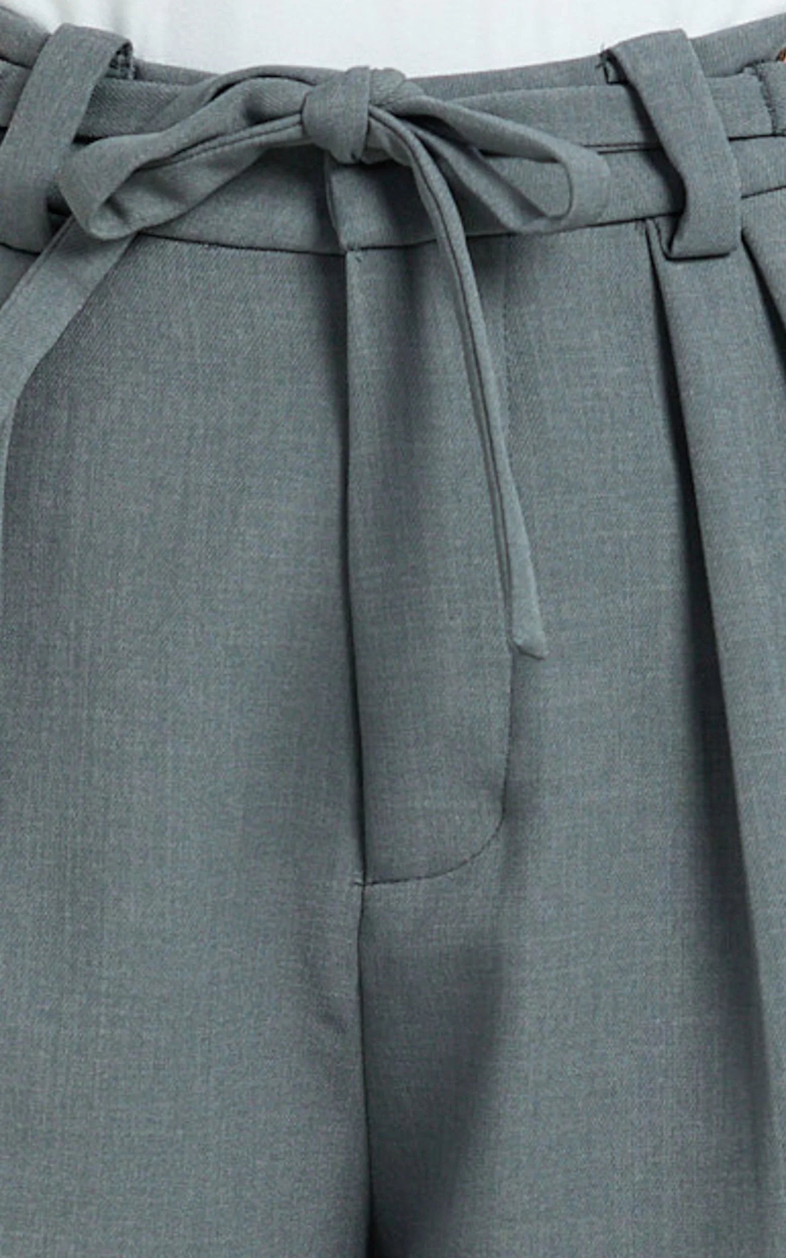 Frankie Pants - Low Rise Pleated Wide Leg Pant with Hardware Buckle in Grey