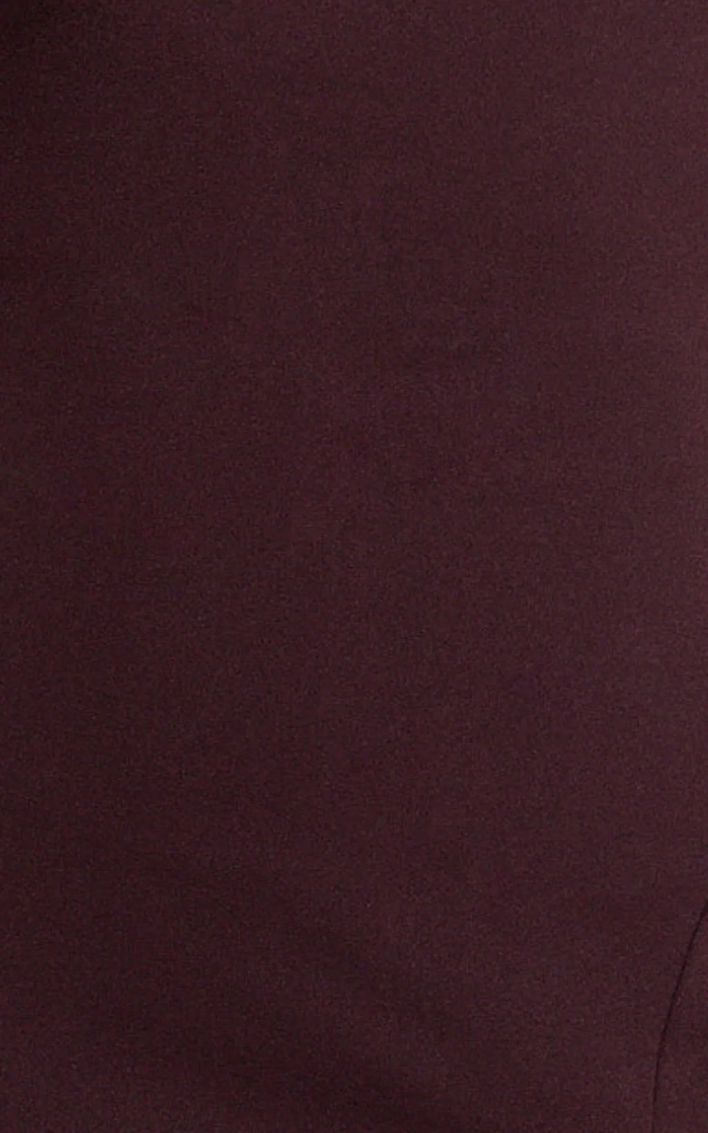 Raya Maxi Dress - Deep V Neck Low Back Bodycon Dress in Wine