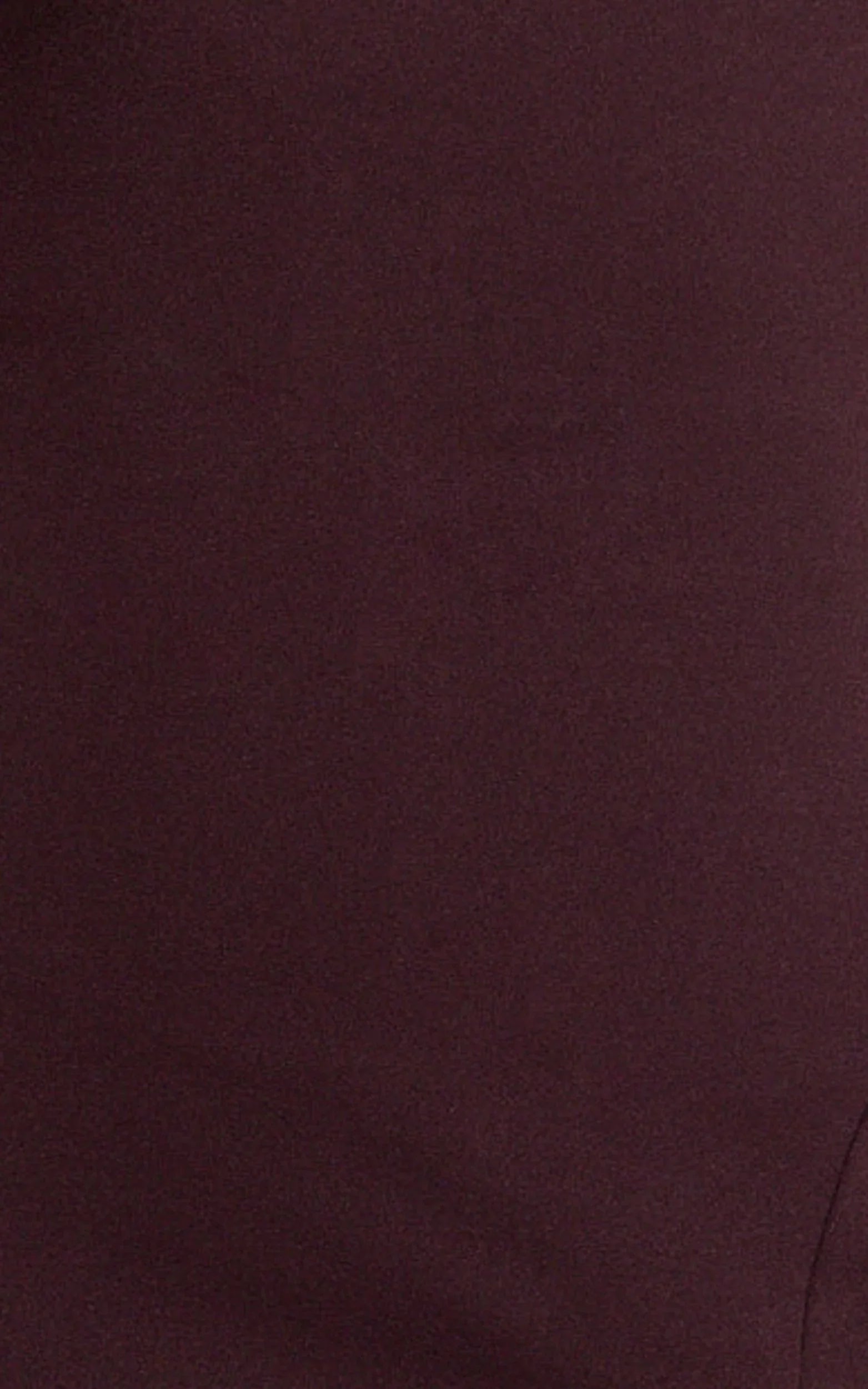 Raya Maxi Dress - Deep V Neck Low Back Bodycon Dress in Wine