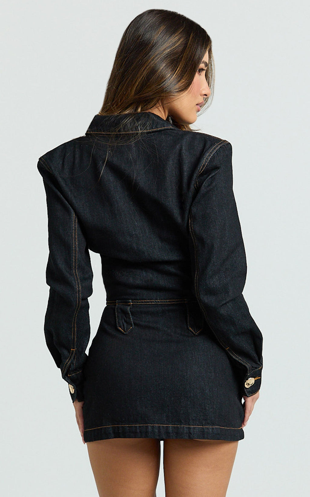 Fabia Mini Dress - Denim Hardware Button Front Fitted Shirt Dress in Dark Wash